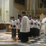 vocational-week-sannat-10